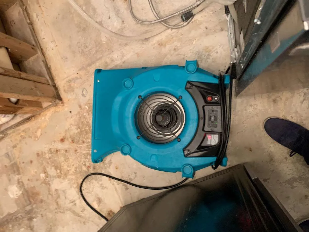 Air mover drying equipment for Mold Remediation & Removal in Forest Park